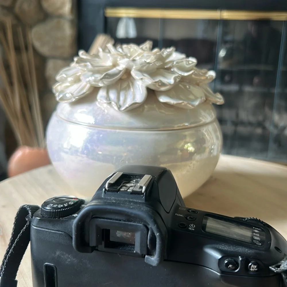 Canon eos rebel